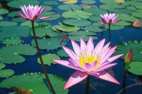 3868la������վ(china)�ɷ����޹�˾ - Make It Possible