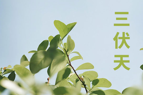3868la������վ(china)�ɷ����޹�˾ - Make It Possible