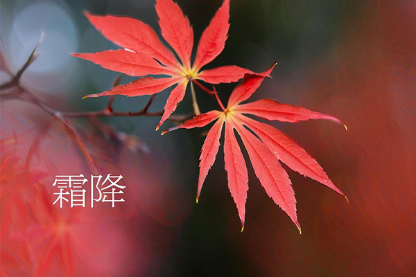 3868la������վ(china)�ɷ����޹�˾ - Make It Possible