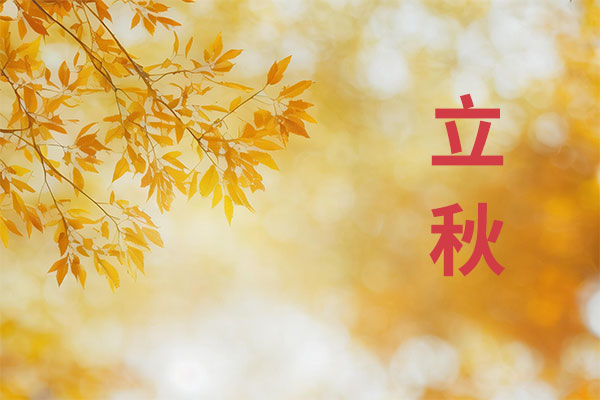 3868la������վ(china)�ɷ����޹�˾ - Make It Possible