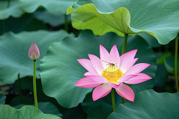 3868la������վ(china)�ɷ����޹�˾ - Make It Possible