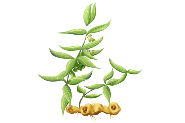 3868la������վ(china)�ɷ����޹�˾ - Make It Possible