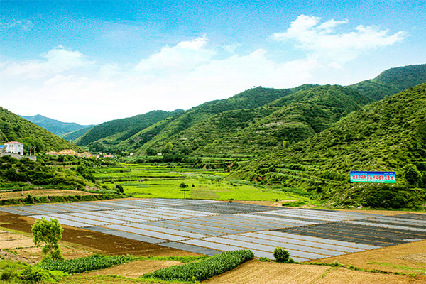 3868la������վ(china)�ɷ����޹�˾ - Make It Possible